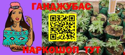 гидропоника Дубна